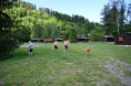 /album/2026/dsc-7565-jpg/